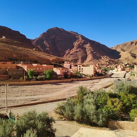 Riad Lalla تنغير المظهر الخارجي الصورة