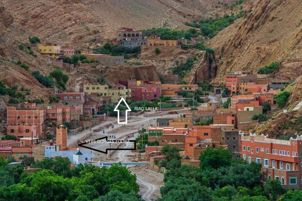 Riad Lalla تنغير المظهر الخارجي الصورة